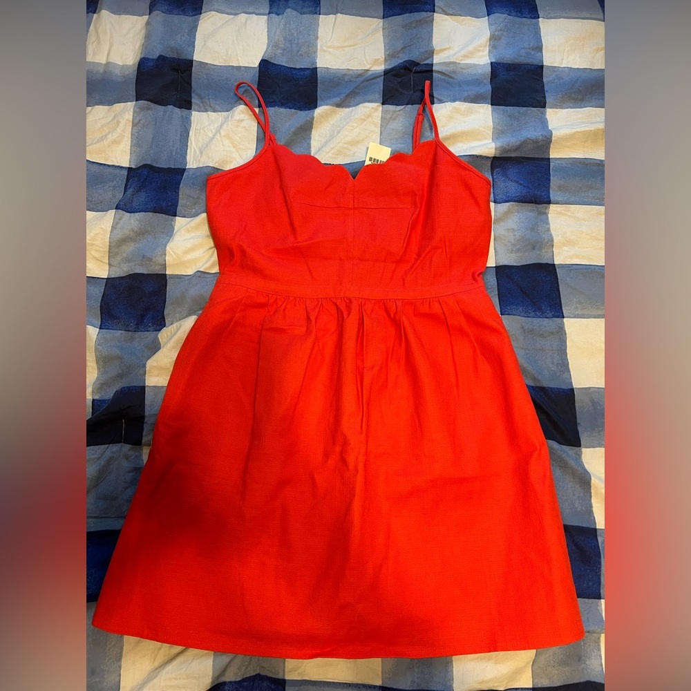 NWT J Crew Scallop neckline dress Sz 14